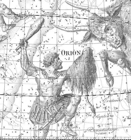 A vintage astronomical chart depicting the constellation Orion, illustrating the figure of a warrior holding a club with a lion's skin draped over his arm, set against a background of stars.